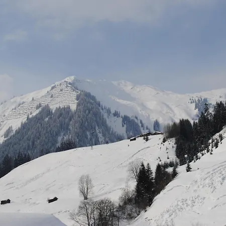 Konukevi Weissenbach Holzgau